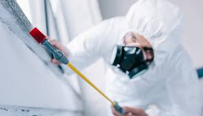 Best Residential Pest Control  in Window Rock, AZ